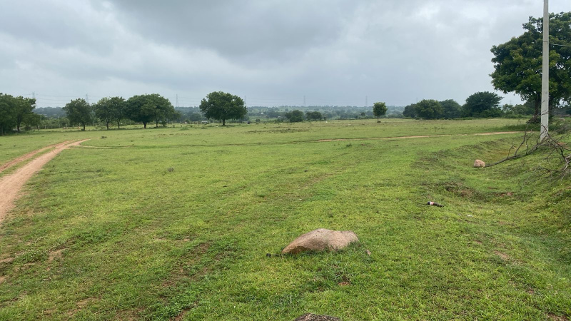  Agricultural Land 100 Acre for Sale in Chevella, Hyderabad