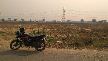  Industrial Land for Rent in Frukhnagar, Gurgaon, Gurgaon