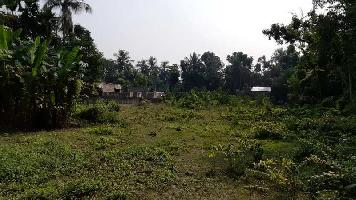  Industrial Land for Sale in Ashoknagar Kalyangarh, North 24 Parganas