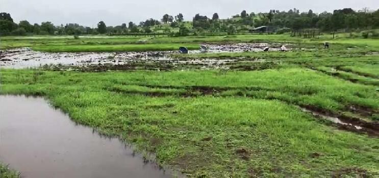  Agricultural Land for Sale in Murbad, Thane