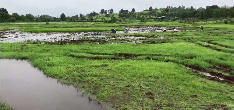  Agricultural Land 21 Acre for Sale in Murbad, Thane