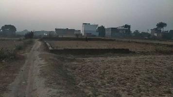  Agricultural Land for Sale in Ramana, Varanasi