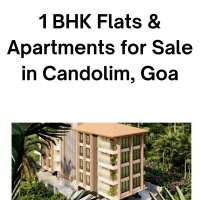 1 BHK Flat for Sale in 10B Jasola Vihar, Delhi