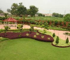  Agricultural Land for Sale in Sector 128 Noida