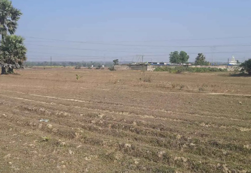 Agricultural Land 1090000 Sq.ft. for Sale in Suriya, Giridih