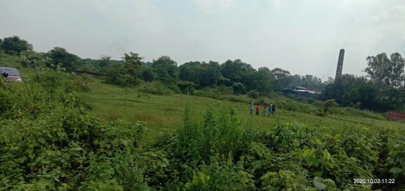  Agricultural Land 38 Acre for Sale in Topchanchi, Dhanbad