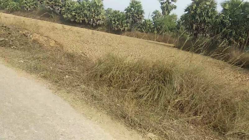  Commercial Land 1100 Acre for Sale in Chas, Bokaro