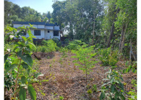  Residential Plot for Sale in Cheruthazham, Kannur