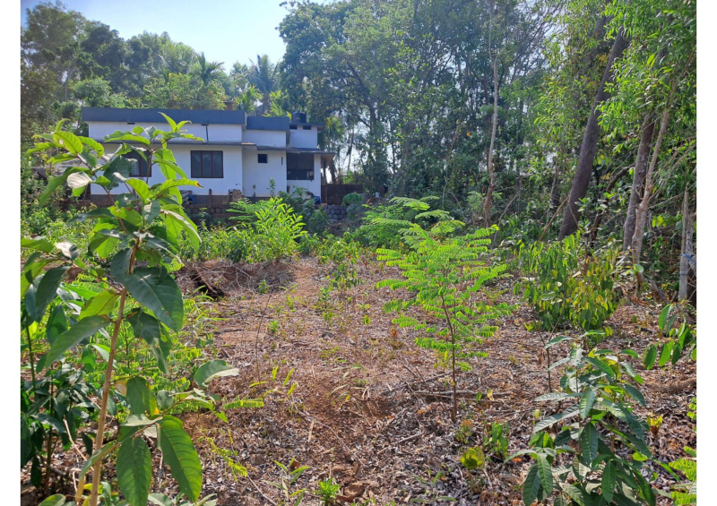  Residential Plot 30 Sq. Yards for Sale in Cheruthazham, Kannur