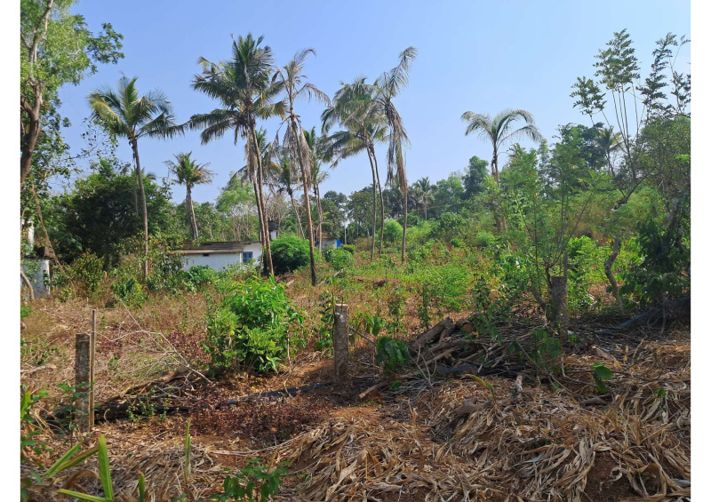  Residential Plot 30 Sq. Yards for Sale in Cheruthazham, Kannur