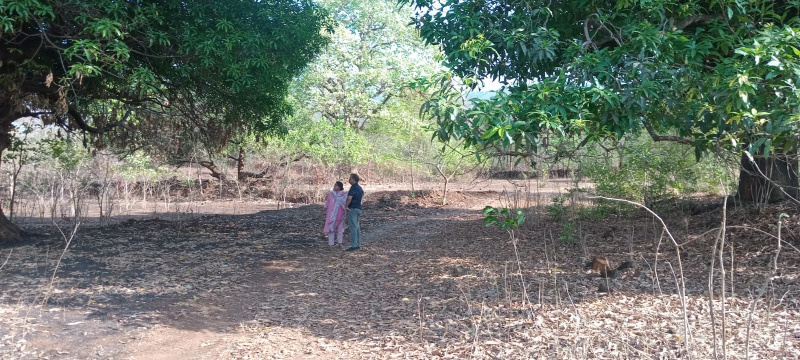  48 Guntha Residential Plot for Sale in Khed Ratnagiri