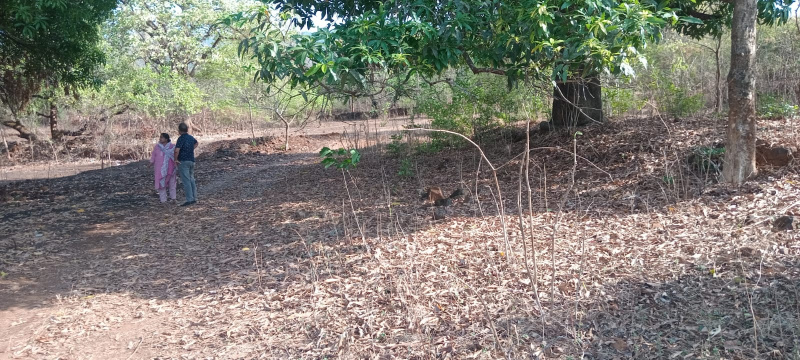  48 Guntha Residential Plot for Sale in Khed Ratnagiri