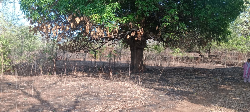  48 Guntha Residential Plot for Sale in Khed Ratnagiri