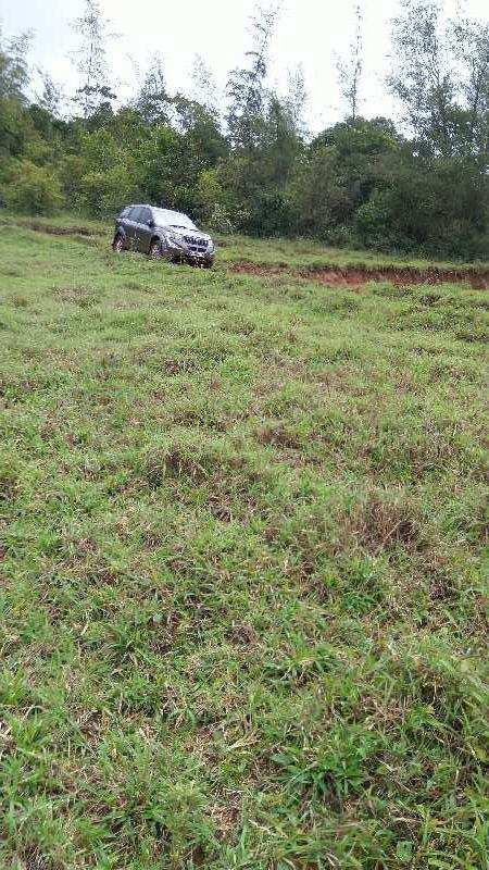  Agricultural Land 10 Acre for Sale in Sakleshpur, Hassan