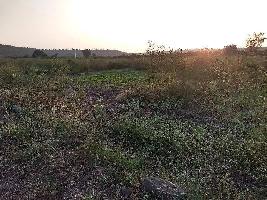  Agricultural Land for Sale in Teosa, Amravati