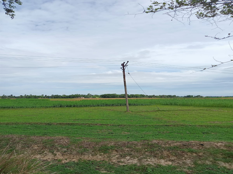  Residential Plot 149 Acre for Sale in Balurghat, Dakshin Dinajpur