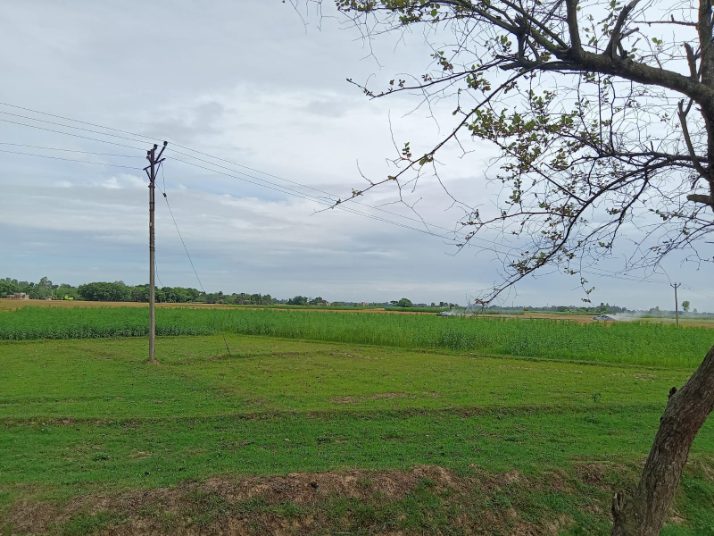  Residential Plot 149 Acre for Sale in Balurghat, Dakshin Dinajpur