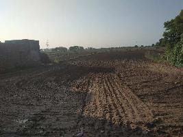  Agricultural Land for Sale in Kunhari, Kota
