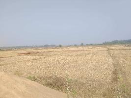  Commercial Land for Sale in Panikoili, Jajapur