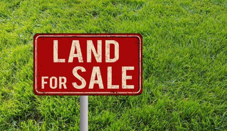 Agricultural Land 90000 Sq. Yards for Sale in