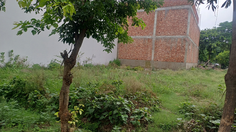  Residential Plot 136 Sq.ft. for Sale in New Moradabad
