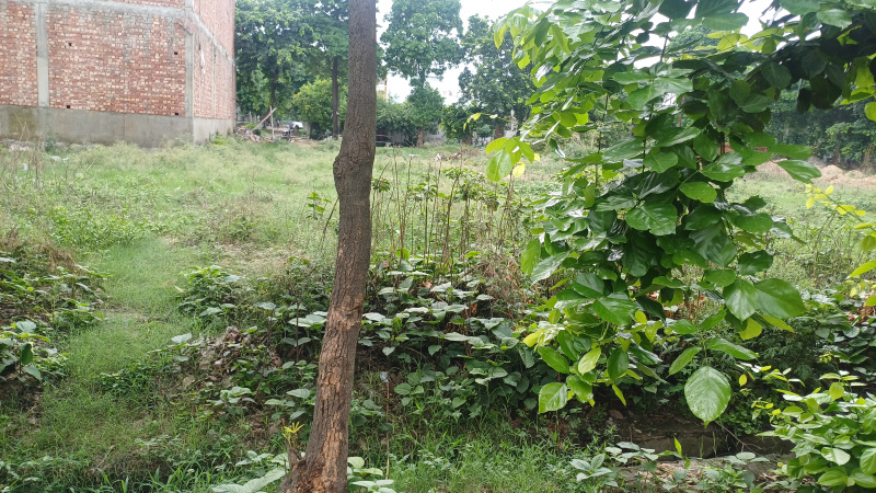  Residential Plot 112 Sq. Meter for Sale in Delhi Road, Moradabad