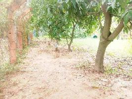  Residential Plot for Sale in Red Hills, Chennai