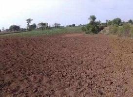  Agricultural Land for Sale in Vidhyanagar, Anand