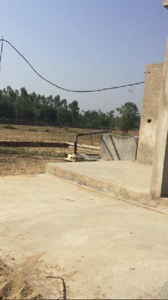 Agricultural Land 6 Acre for Sale in Balachaur, Nawanshahr (REI932665)