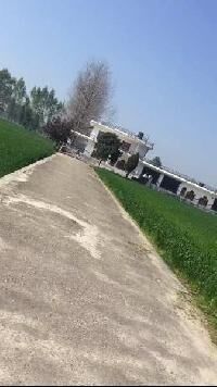 3 BHK Farm House for Sale in Garhshankar, Hoshiarpur