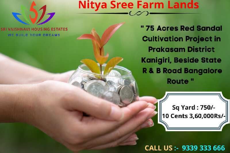  Agricultural Land 10 Cent for Sale in Benz Circle, Vijayawada