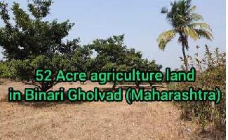  Agricultural Land for Sale in Gholvad, Palghar