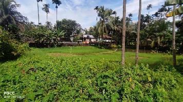  Residential Plot for Sale in Udarbond, Cachar
