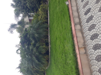  Residential Plot for Sale in Super Corridor, Indore