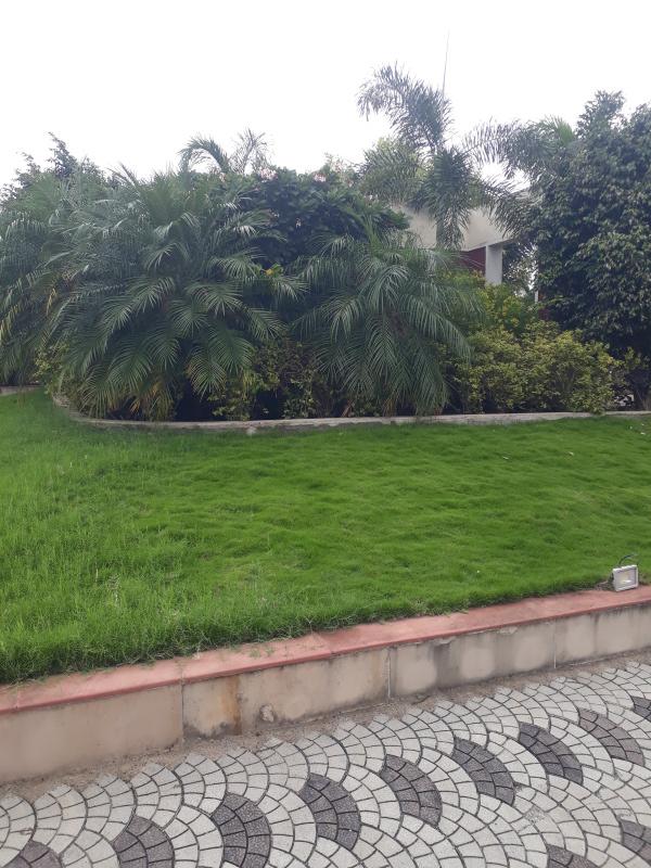  Residential Plot 1100 Sq.ft. for Sale in Super Corridor, Indore