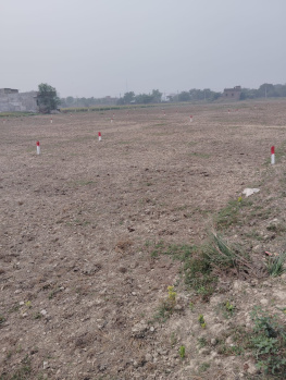  Residential Plot for Sale in Bela Dullah, Darbhanga