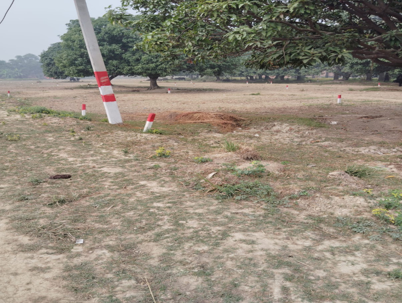  Residential Plot 1350 Sq.ft. for Sale in Bela Dullah, Darbhanga