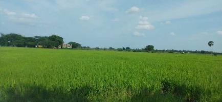  Agricultural Land for Sale in Kilvelur, Nagapattinam