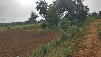  Industrial Land for Sale in Okkur, Sivaganga