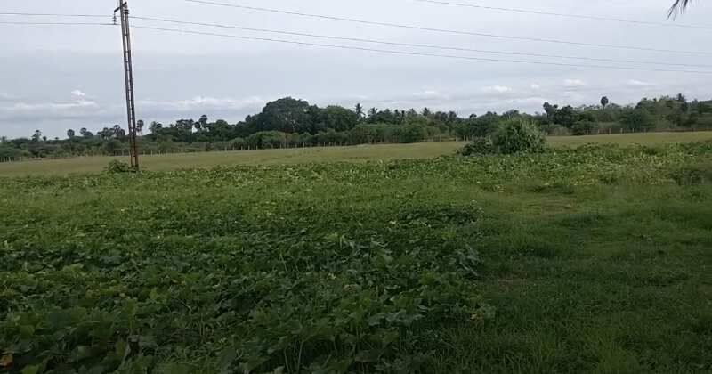  Industrial Land 800 Cent for Sale in Okkur, Sivaganga