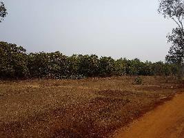  Agricultural Land for Sale in Paschim, Medinipur