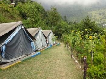  Hotels for Rent in Pangot, Nainital
