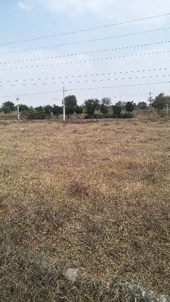  Residential Plot 167 Sq. Yards for Sale in Eliminedu, Rangareddy