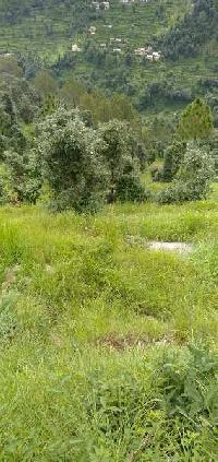  Agricultural Land for Sale in Ramgarh, Nainital