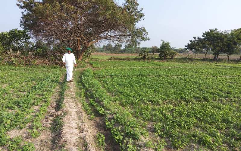  Agricultural Land 10000 Sq.ft. for Sale in Madurantakam, Kanchipuram