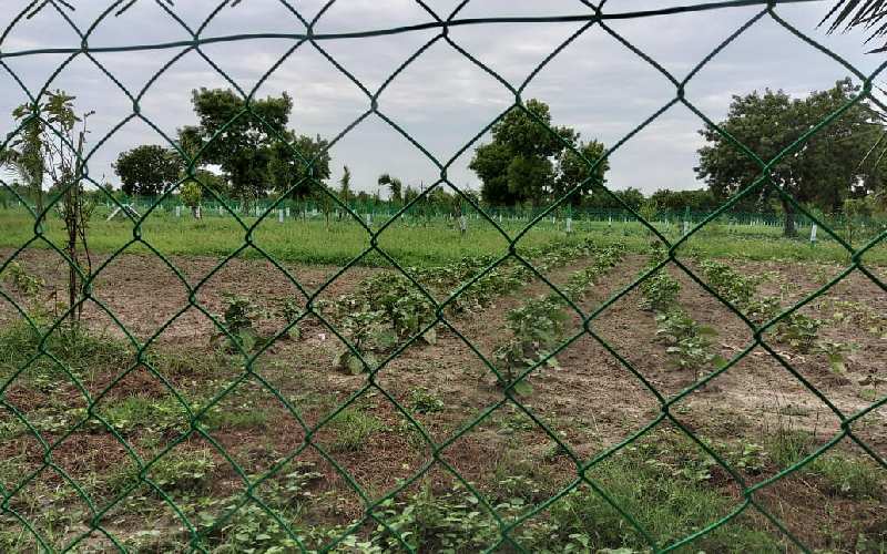  Agricultural Land 10000 Sq.ft. for Sale in Madurantakam, Kanchipuram