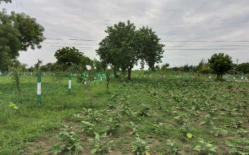  Agricultural Land 10000 Sq.ft. for Sale in Madurantakam, Kanchipuram