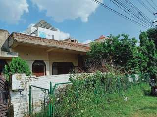 4 BHK House 233 Sq. Yards for Rent in