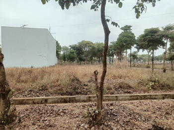  Residential Plot for Sale in New Moradabad