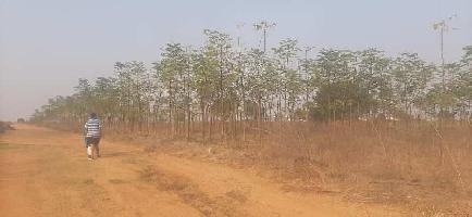  Agricultural Land for Sale in Jadcherla, Mahbubnagar